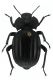 NU2369_Morica grossa copie2.jpg