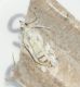 rsz_dsc_4608.jpg