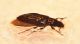 rsz_dsc_5311.jpg