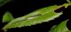 DSCN0414.JPG