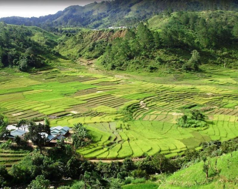 Tây Giang District, Quảng Nam, Vietnam 2.jpg