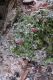 Image00004.jpg