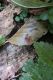 Image00005.jpg