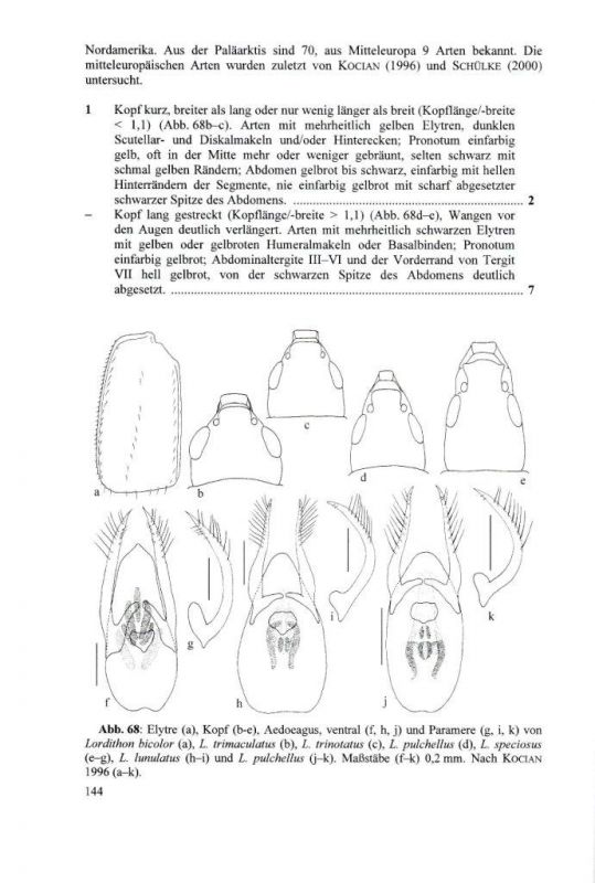 Die Käfer Mitteleuropas 4 Staphylinidae I - 155.jpg