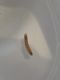 IMG-20181129-WA0001.jpg