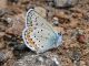 DSC_0365.jpg