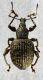 IMG_0322 Rid.jpg