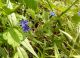 2-IMG_20180524_134819-okit.jpg