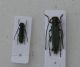 6-DSC_0782-okit.jpg