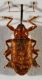 IMG_0332 rid.jpg