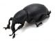 Comb2604_26zL6cr.jpg