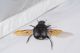 DSC_4474 1f.JPG