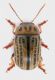 DSCN3931.JPG