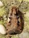 DSCN5562.JPG
