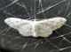 DSCN5619.JPG