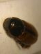 image000002_01.jpg