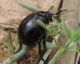 DSCN9828.JPG