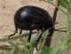 DSCN9829.JPG