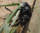 DSCN9830.JPG