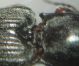 DSC00590.JPG