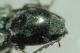 DSC00593.JPG