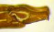 DSCN3907.JPG