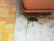 IMG-20190612-WA0005.jpg