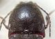 DSC00746.JPG