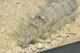 rsz_dsc_9680.jpg