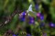 Immagine-032.jpg