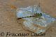 Immagine-095.jpg