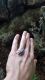 IMG-20190722-WA0011.jpg