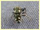 probabile Heliophanus apiatus - Roma - Caffarella - 14.7.2019 - (7).JPG