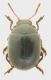 DSCN4090.JPG