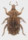 DSCN4093.JPG