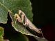 HieTen_FPM_4165_800.jpg