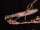 HieTen_FPM_4264_800.jpg