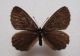DSC01177.JPG