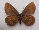 DSC01175.JPG