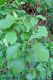 DSC01165.JPG