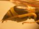 DSCN4146.JPG