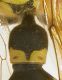 DSCN4162.JPG