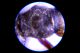 DSCN2771-2.jpg