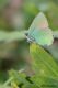 DSC_4621.jpg
