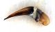 Comb2785-11zL3cr.jpg