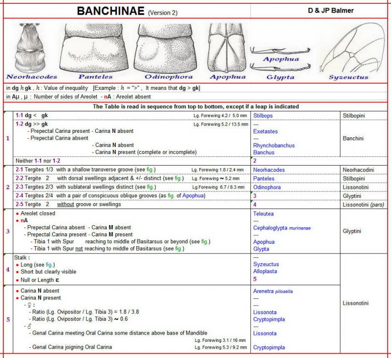 BANCHINAE - Clé au 03.09.2019 + Images - Image.jpg