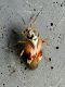 DSCN6347.JPG