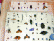 Immagine 216.gif