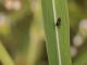 A06V5913-3.jpg