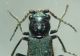 DSC01318.JPG